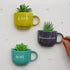 Hindi Quotes Cup Planter for Wall | Decor with Quotes Cup Planters | - Ceramic Wall Decoration India - Buy Online - Free Shipping